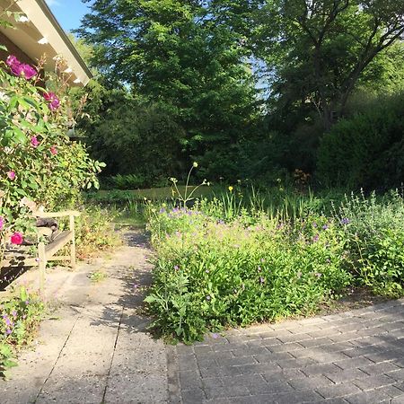 Huisje De Geluksvogel Zorgvlied Dış mekan fotoğraf