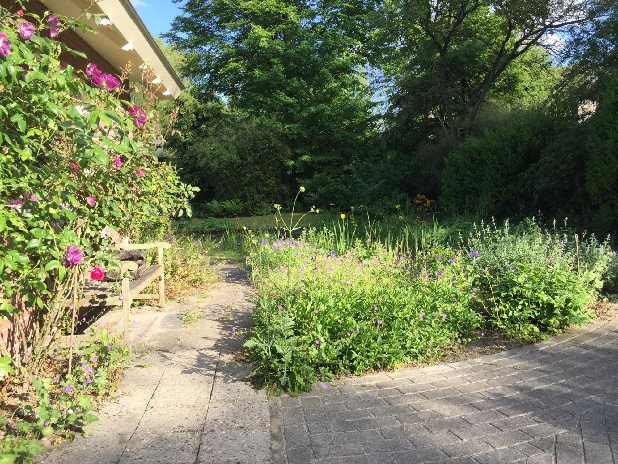 Huisje De Geluksvogel Zorgvlied Dış mekan fotoğraf