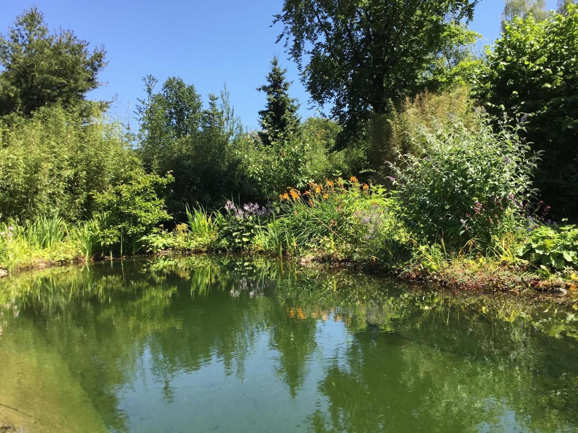 Huisje De Geluksvogel Zorgvlied Dış mekan fotoğraf